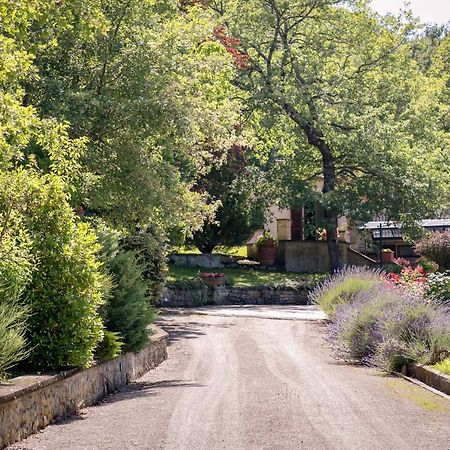 Il Giardino Delle Giare Villa Castiglion Fiorentino Dış mekan fotoğraf